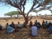 revive conflict mediation a family tradition
