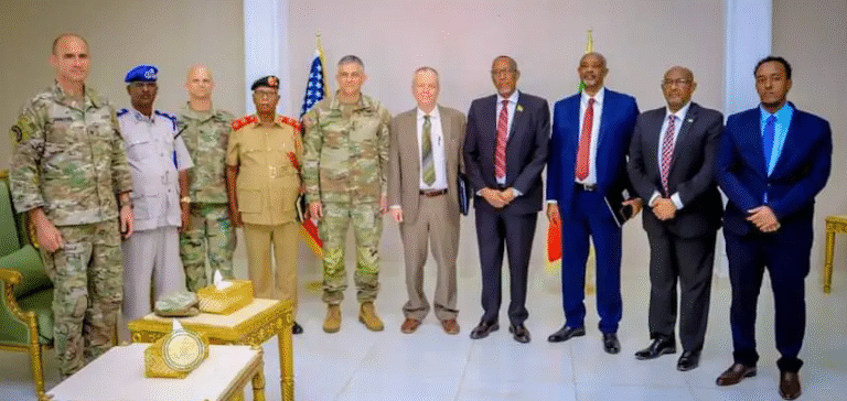 Somaliland and US Officials Meetings