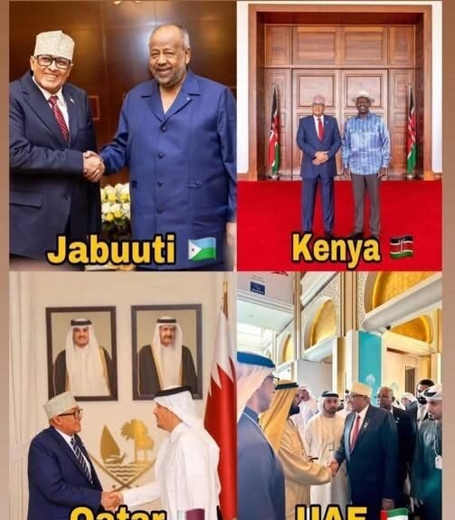 Qataricirro