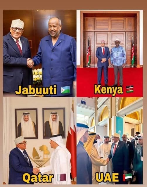 Qataricirro