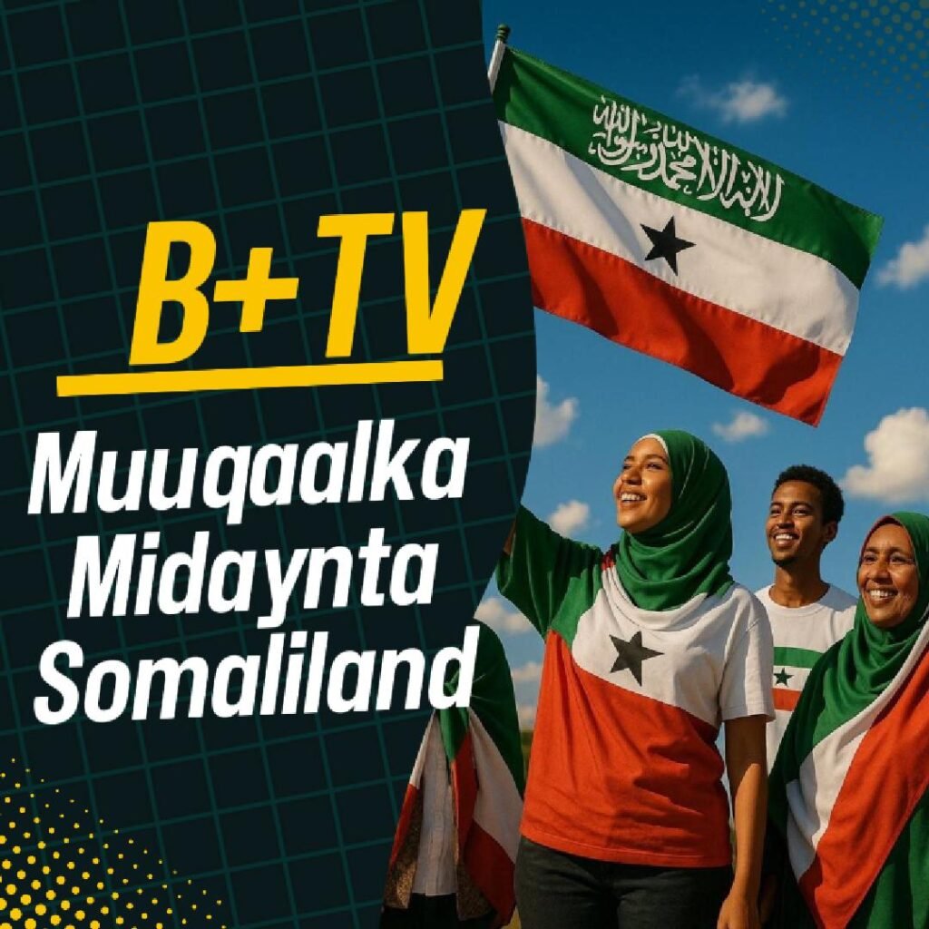 @bridgingsomaliland.com